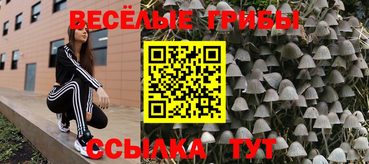 Киреевск  Галлюциногенные грибы MAGIC MUSHROOMS  Псилоцибиновые грибы Magic Shrooms  Вход с VPN 