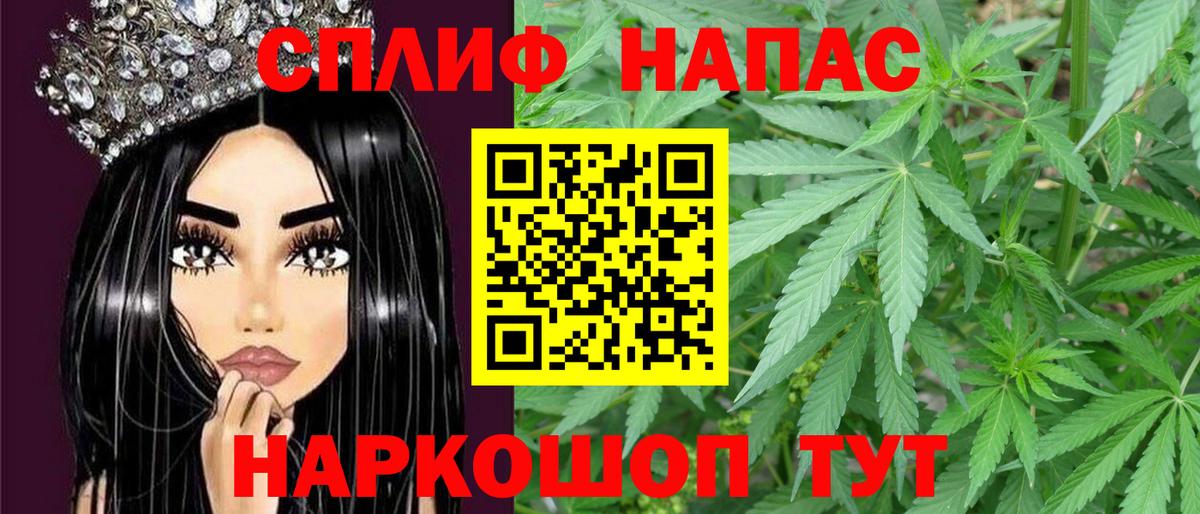Конопля сатива Киреевск
